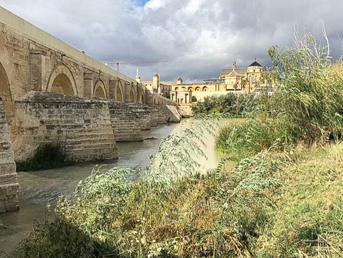 Апартаменты El Mirador De La Mezquita-Catedral Кордова Экстерьер фото